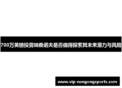 700万英镑投资胡桑诺夫是否值得探索其未来潜力与风险